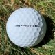 Titleist Left Dash Pro V1x