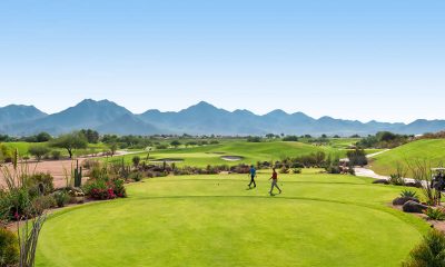 cactus, Arizona, desert, golf, golf course