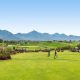 cactus, Arizona, desert, golf, golf course