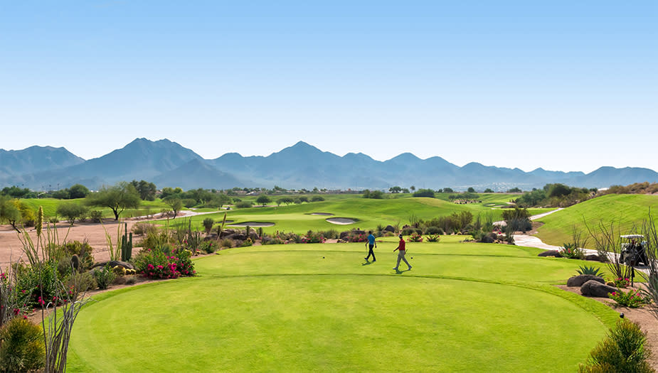 cactus, Arizona, desert, golf, golf course