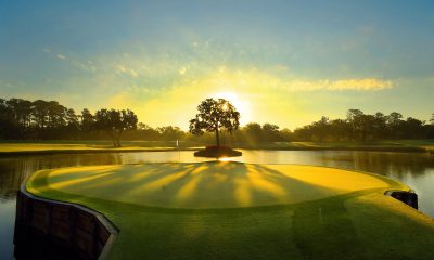 most iconic holes in golf sawgrass 17th